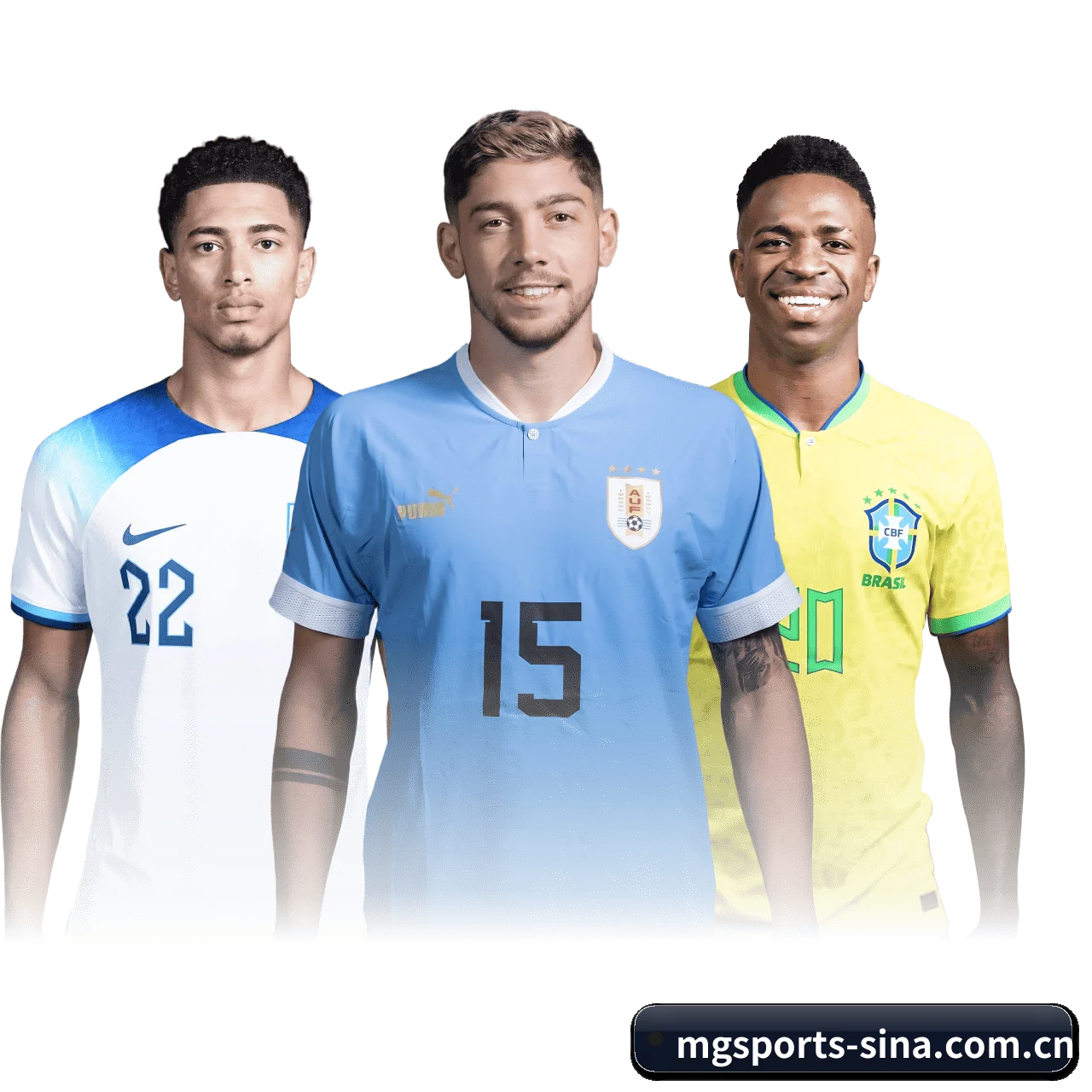 满冠体育 APP | mgsports
